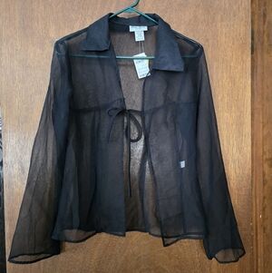 Sheer Long Sleeve Blouse